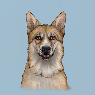 Telegram profile photo for 🐾𝑺𝑻𝑰𝑭 𝑳𝑰𝑭𝑬🐾