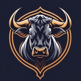 Telegram profile photo for Raging Bull Free Trading Calls