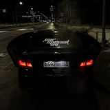 Telegram profile photo for car special nv