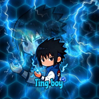 Telegram profile photo for TingBoy STORE