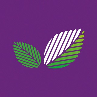 Telegram profile photo for Базилик | Кафе и доставка еды | Донецк, Макеевка