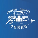 Telegram profile photo for Дворец Спорта «Лобня»