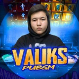 Telegram profile photo for VALIKS OTSV