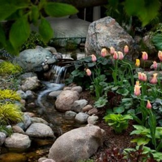 Telegram profile photo for Gardening lovers