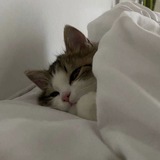 Telegram profile photo for Ⲗюⳝⲗю🫶