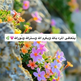 Telegram profile photo for ملاذ 💛