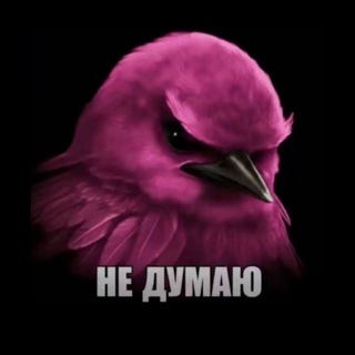 Telegram profile photo for Огузок🎰
