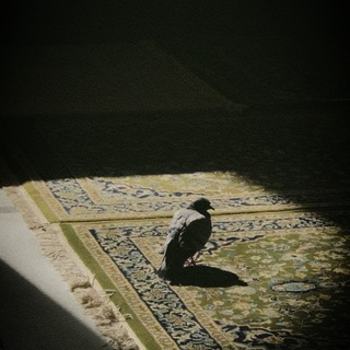 Telegram profile photo for مَقْعـدُ صِـدق.