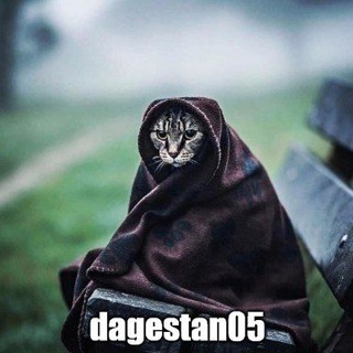 Telegram profile photo for Ну так)
