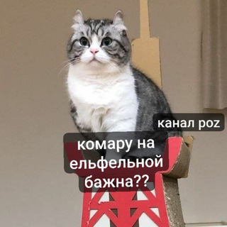 Telegram profile photo for розичэ