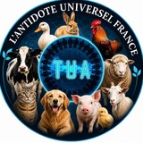 Telegram profile photo for L'Antidote Universel pour les Animaux