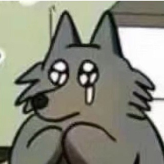 Telegram profile photo for 成都狼友心尖尖|发现好老师
