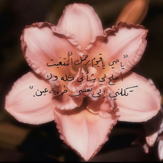 Telegram profile photo for Quran