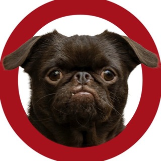 Telegram profile photo for ЗУМ Владимира Маслова