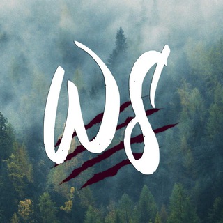 Telegram group profile photo for WildSales.biz поиск поставщиков в Китае