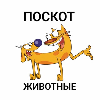 Telegram group profile photo for Поскот 🐈⬛🐕🦺 Животные. Потеряшки и помощь