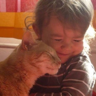 Telegram profile photo for Animal Help
