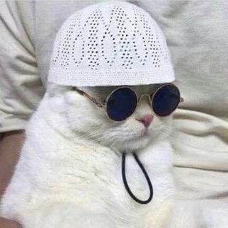 Telegram profile photo for ESMAT(اِسمَت)