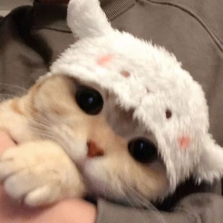 Telegram profile photo for 𝒚 𝑹𝑬𝑪𝑲𝑳𝑬𝑺𝑺