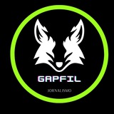 Telegram profile photo for Gapfil — News 🪙 Jornalismo Crítico