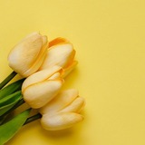 Telegram profile photo for - شَغلاتيِ✧˚.