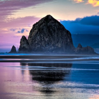 Telegram profile photo for North American Nature Photography