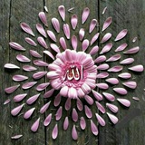 Telegram profile photo for 🤓سـ الله ـلام🤓