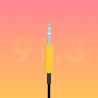 Telegram profile photo for 91.3