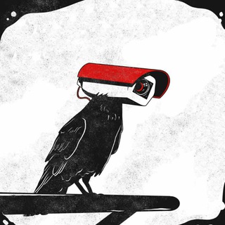 Telegram profile photo for Your Everyday Cybersecurity Dose