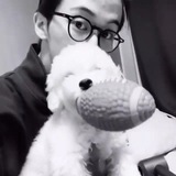 Telegram profile photo for archive