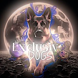 Telegram profile photo for Exclusive dogsᴼᶠᶠ(ушли на новый тгк)