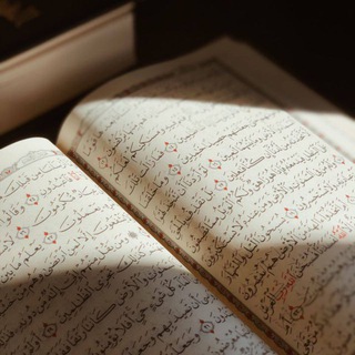 Telegram profile photo for Переходник | محول