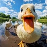 Telegram profile photo for 鸭子无广通知群