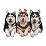 Telegram profile photo for ХАСКИЛЭНД