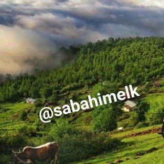 Telegram profile photo for زمین شمال - تنکابن و رامسر