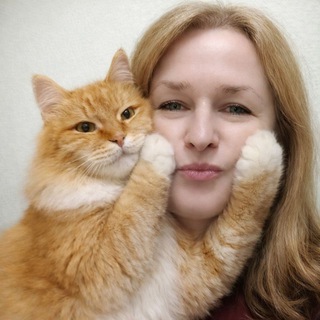Telegram profile photo for Кот. "Персиковый" блог🐈