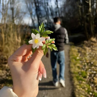 Telegram profile photo for سفر اليَاسَمين 🌼🌺🍃