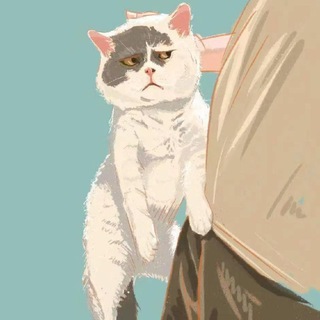 Telegram profile photo for 免费策略群