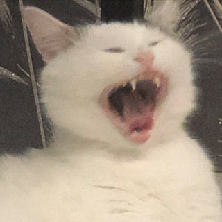 Telegram profile photo for Заходите на шашлыки
