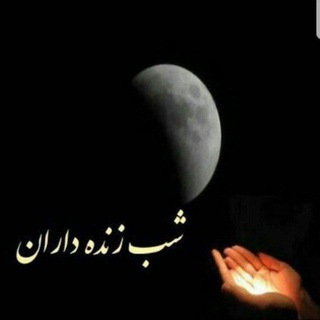Telegram profile photo for شب زنده داران
