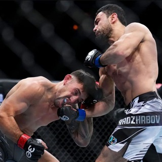 Telegram profile photo for Tajik in UFC