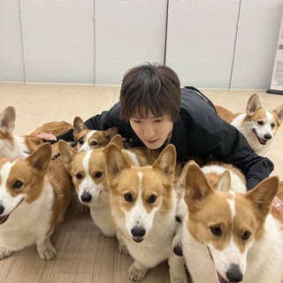 Telegram profile photo for аэвьт