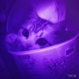 Telegram profile photo for KazeVoice (Studio)