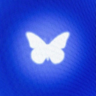 Telegram profile photo for 8