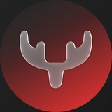 Telegram profile photo for COOlllCE