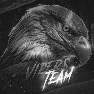 Telegram profile photo for Vipers Team 🦅