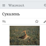 Telegram profile photo for Артемка лайф