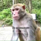 Telegram profile photo for В каких я гарант в чатах ( блокс)