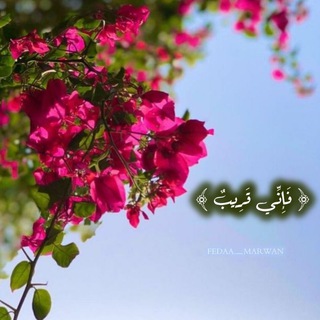 Telegram profile photo for غَـيـمَـة