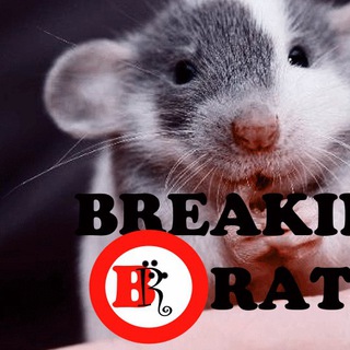 Telegram profile photo for Breaking.Rat